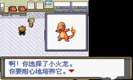 口袋妖怪802全随机作弊版