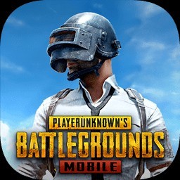 PUBG国际服绿体内透工具箱