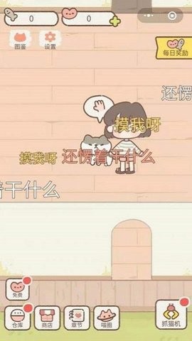 遇见你的猫国际服