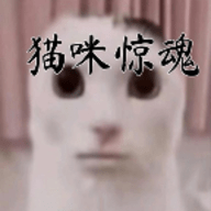 猫咪惊魂最终版