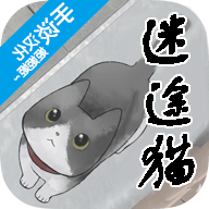 迷途猫