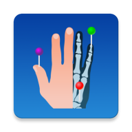 e-anatomy