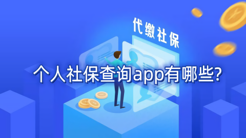 查询个人社保缴费明细的APP