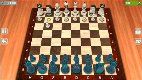 国际象棋大师
