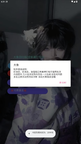 大象直装