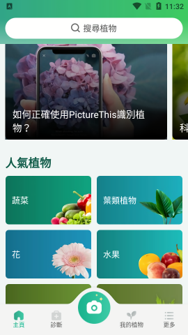 picturethis