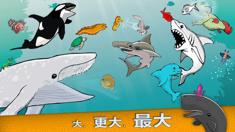 皇家鱼虾蟹版本