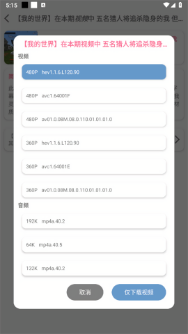 BVD视频下载器
