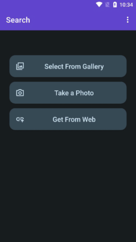 Image Search