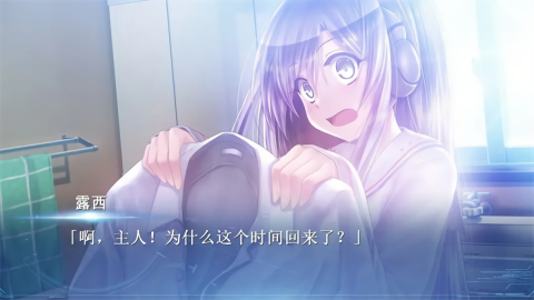 露西她所期望的一切汉化完整版