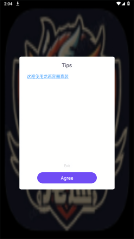 龙巡容器直装最新版本