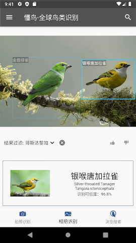 懂鸟全球鸟类识别官方版