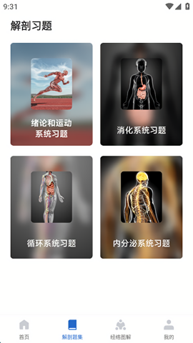 人体解剖图集3D版