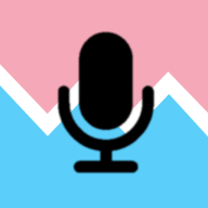 Voice Tools安卓汉化版