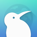 kiwibrowser扩展插件app