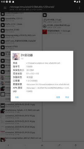 Dy启动器